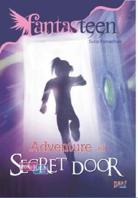 Adventure Of Secret Door