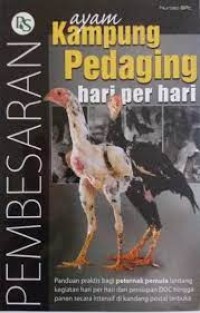 Ayam Kampung Pedaging Hari Per Hari