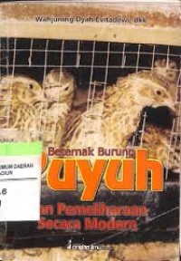 Beternak Burung Puyuh