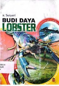 Budi Daya Lobster