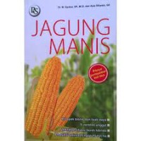 Jagung Manis