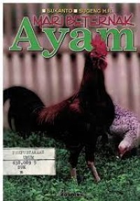 Mari Beternak Ayam