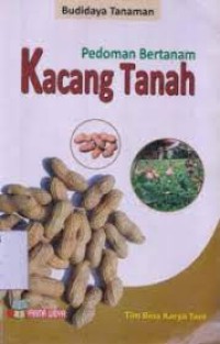 Pedoman Bertanam Kacang Tanah